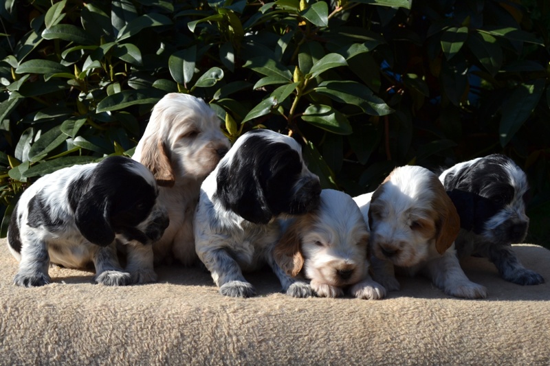 5-Janet, Jantar, Just, Jambo, Jessi, Janie.JPG